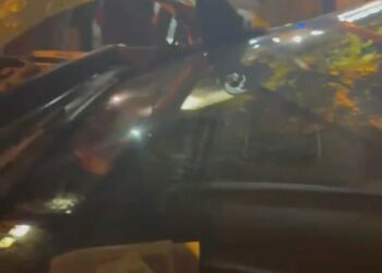 Trafik polisi aracına sıkışan kedi, çekiciyle kurtarıldı