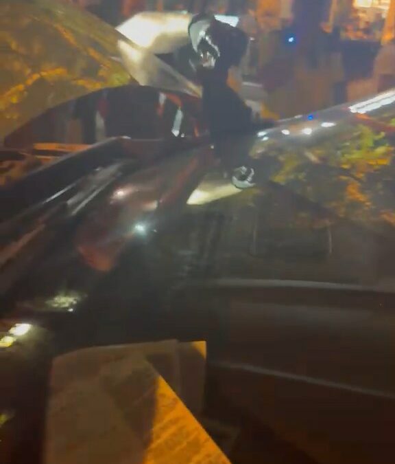 Trafik polisi aracına sıkışan kedi, çekiciyle kurtarıldı