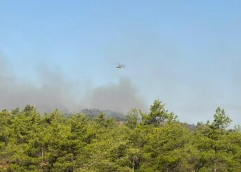 Fethiye'deki orman yangınının enerjisi düşürüldü