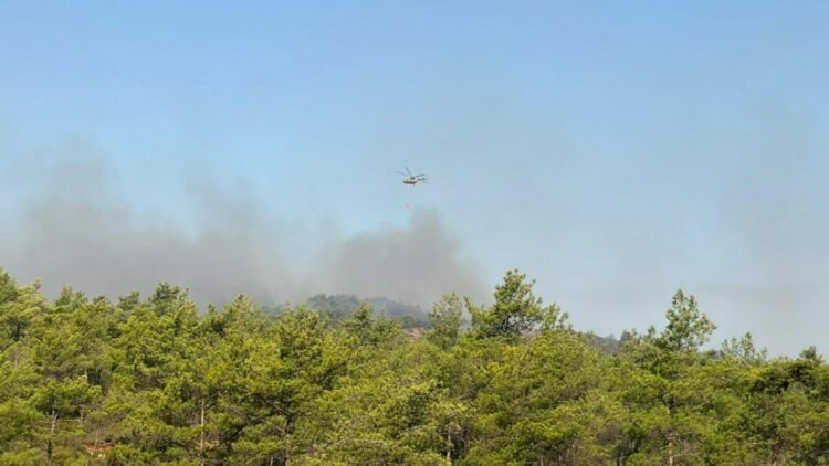 Fethiye'deki orman yangınının enerjisi düşürüldü