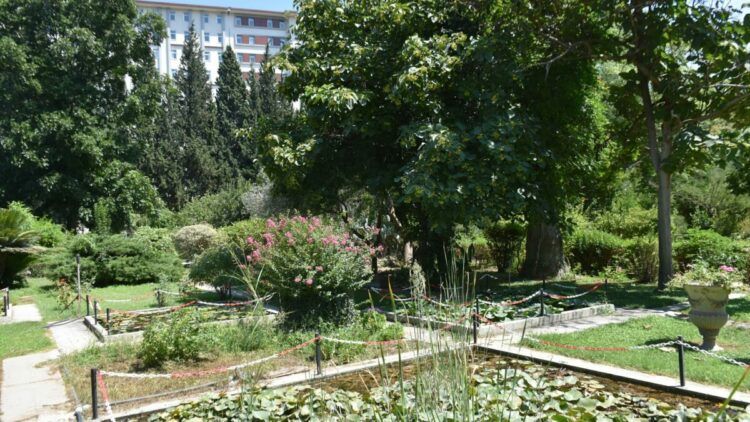 'Canlıların yaşayabileceği tampon bölgelerin kaybolduğunu görüyoruz'