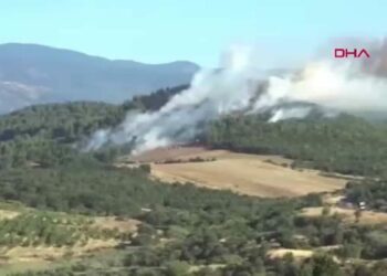 Çanakkale Bayramiç’teki orman yangını 4,5 saatte kontrol altına alındı