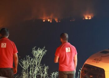 Türk Kızılay, orman yangınlarında 26 noktada sahada