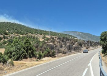 Eğirdir Gölü kenarında 2 noktada yangın
