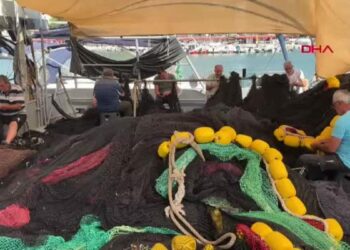 Tekirdağlı balıkçılar yeni sezondan umutlu: Palamut müjdesi aldık
