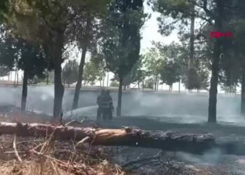 Mardin OSB'de çıkan örtü yangını söndürüldü