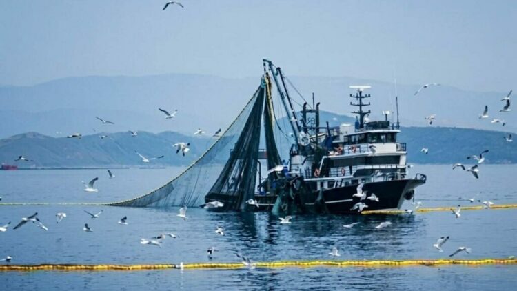 Prof. Dr. Yaşar: Ne kadar çok yağmur yağarsa o yıl o kadar çok balık avı olur