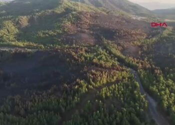 Muğla’da yangınların bilançosu; 5 bin hektardan fazla alan zarar gördü