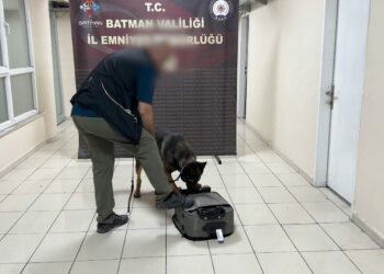 Valize emdirilmiş uyuşturucuyu 'Mailo' buldu