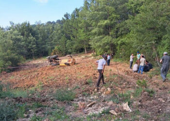 Devrilen traktörün altında kalan sürücü öldü