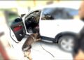 Otomobile zulalanmış uyuşturucuyu ‘Mailo’ buldu