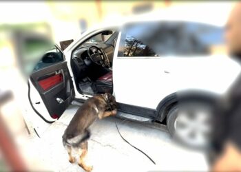 Otomobile zulalanmış uyuşturucuyu ‘Mailo’ buldu