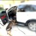Otomobile zulalanmış uyuşturucuyu ‘Mailo’ buldu