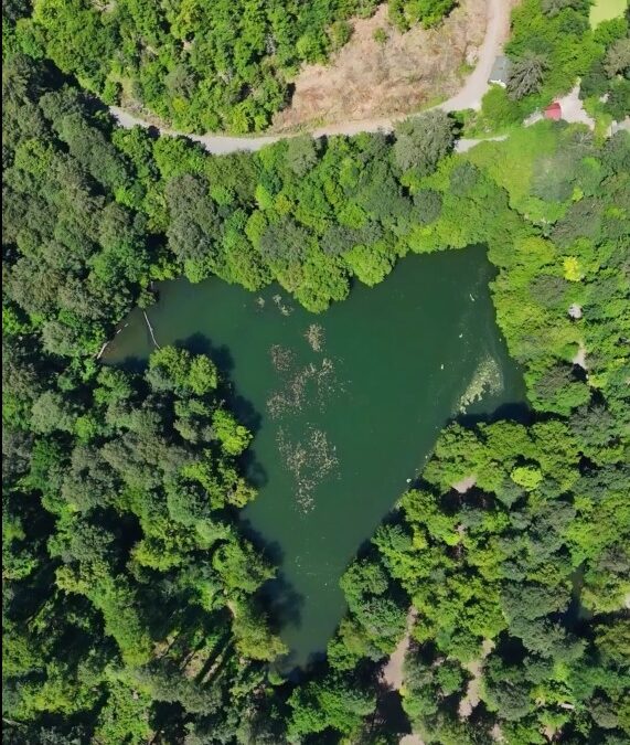 Yedigöller'in eşsiz doğası dronla görüntülendi