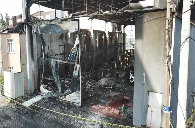 7 işçinin öldüğü fabrika yangında tutuklanan 7 belediye görevlisinden 2'sine tahliye