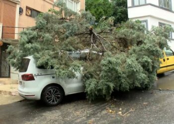 Şişli'de sağanak; 2 ağaç otomobilin üzerine devrildi-1