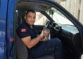 Otomobilin motor bölümünde sıkışan yavru kedi kurtarıldı