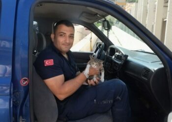 Otomobilin motor bölümünde sıkışan yavru kedi kurtarıldı