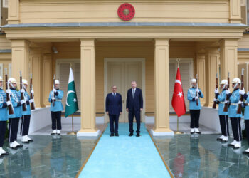 Cumhurbaşkanı Erdoğan, Pakistan Başbakanı Şahbaz Şerif ile görüştü / Görüntü ve ek bilgi