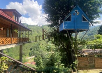 Rize'de iki kardeşin ağaç evine balkondan asma köprüyle ulaşım