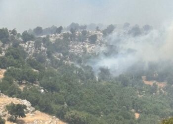 Diyarbakır'da örtü yangını