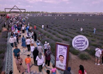 Konya’da ‘Karatay Lavanta Günleri’nde festival coşkusu