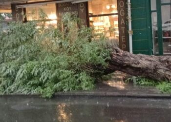Kars’ta sağanak ve fırtına; yollar göle döndü, ağaç devrildi