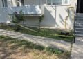 4’üncü kattaki dairenin penceresinden düşüp, öldü