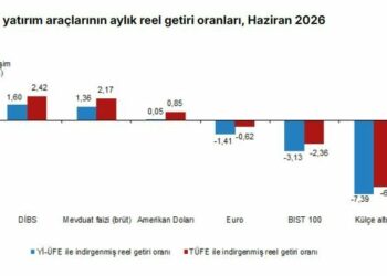 TÜİK: Aylık en yüksek reel getiri DİBS'te oldu
