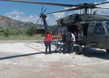 Tunceli’de engerek yılanının ısırdığı kişi helikopterle hastaneye kaldırıldı