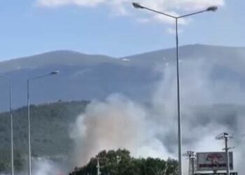 Bursa’da ot yangını; havadan ve karadan müdahale ediliyor