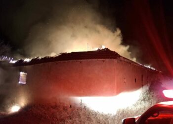 Malatya'da evde çıkan yangın ormana sıçradı; 2 ev zarar gördü