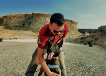 Jardi, 3'üncü kez Türkiye'nin en başarılı görev köpeği seçildi