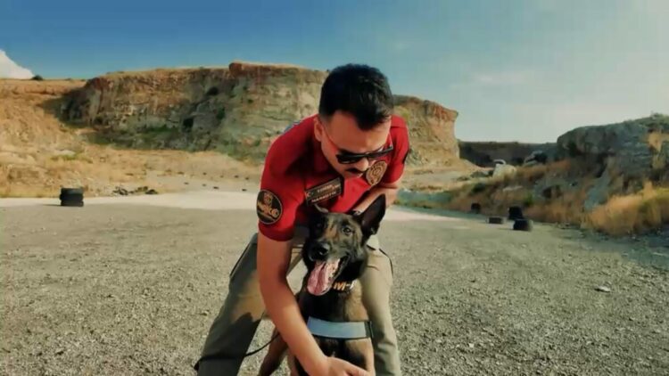 Jardi, 3'üncü kez Türkiye'nin en başarılı görev köpeği seçildi