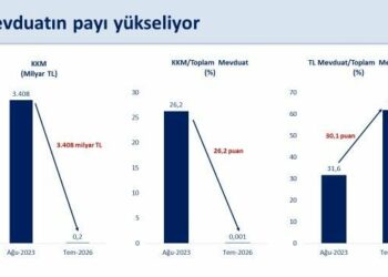 Bakan Şimşek: Türk lirası mevduatın payı 11 yılın en yüksek seviyelerine ulaştı