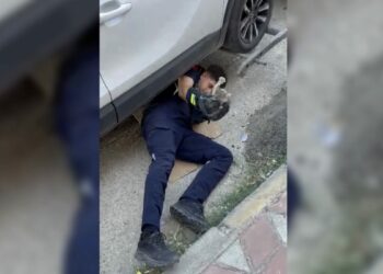 Otomobilin motor kısmına giren yavru kediyi itfaiye kurtardı