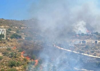 Bodrum'da otluk ve makilik alanda yangın