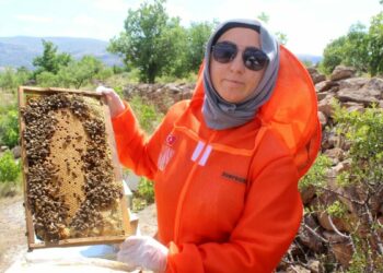 Kanserle mücadelesinde faydalı olduğunu öğrendiği arıcılık Zehra’nın mesleği oldu