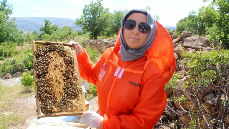 Kanserle mücadelesinde faydalı olduğunu öğrendiği arıcılık Zehra’nın mesleği oldu