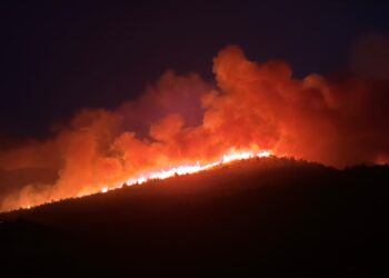 Muğla'da orman yangını