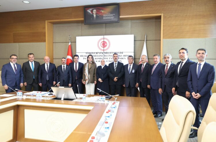 Dilekçe Komisyonu ile İnsan Haklarını İnceleme Komisyonu Üyelerinden Oluşan Alt Komisyon toplandı
