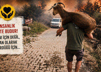 Bu fotoğraf yangının değil, vicdanın fotoğrafı oldu; Alevlerin ortasında yürek burkan kurtuluş hikâyesi