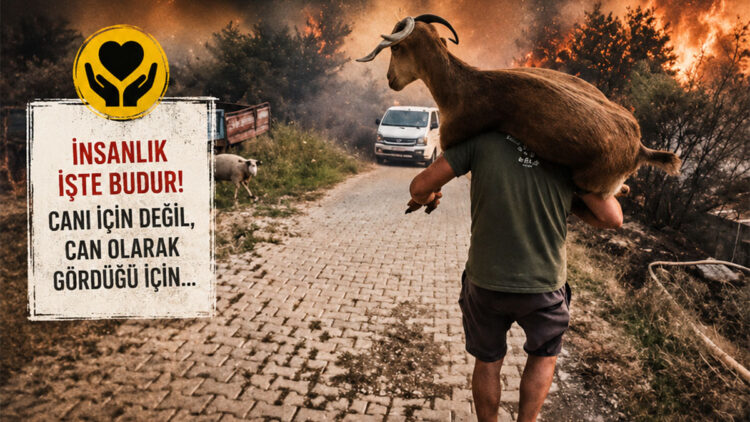 Bu fotoğraf yangının değil, vicdanın fotoğrafı oldu; Alevlerin ortasında yürek burkan kurtuluş hikâyesi
