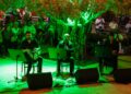 Zeytin ağacının altında “Gece Makamı” ezgileri