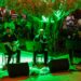Zeytin ağacının altında “Gece Makamı” ezgileri