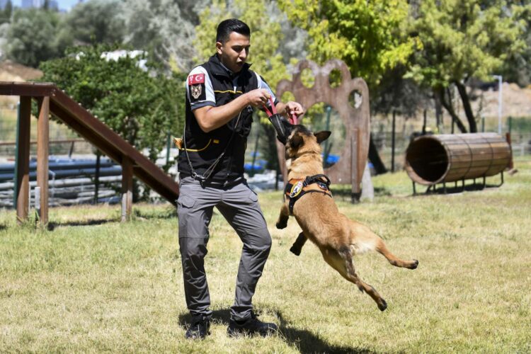 ABB’nin K9 ekipleri Başkent'te görev başında