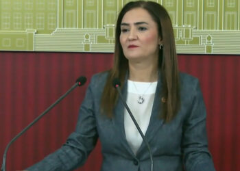 CHP Grup Başkanvekili Sevda Erdan Kılıç, TBMM'de basın toplantısı düzenledi. Fotoğraf:Ankara,(DHA)