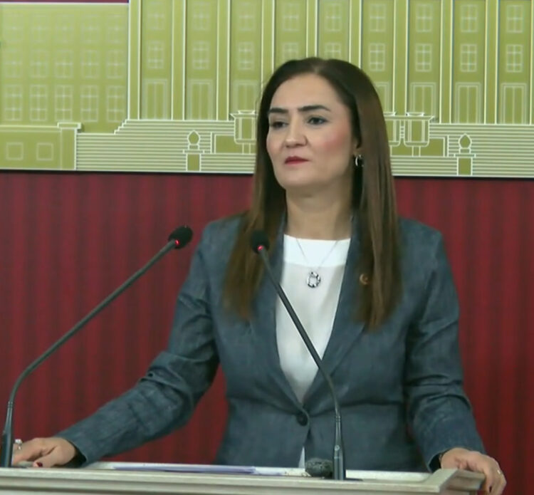 CHP Grup Başkanvekili Sevda Erdan Kılıç, TBMM'de basın toplantısı düzenledi. Fotoğraf:Ankara,(DHA)