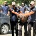 Cumhurbaşkanı Erdoğan'a suikast timinde yer alan FETÖ mensubu adliyeye sevk edildi