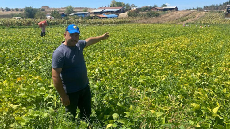 Hayal edip fırsat biçtiler! 1 dönümle başladılar, bin dönüme ulaştılar